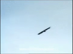 tenor.gif